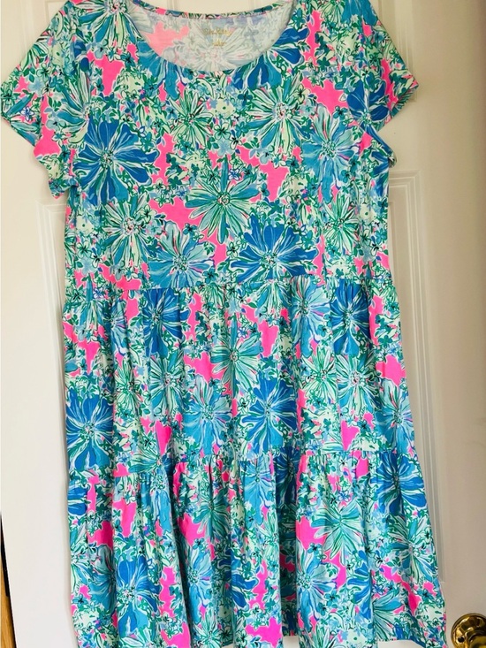 Lilly Pulitzer Dresses & Skirts - Lilly Pulitzer Geanna Short Sleeve Dress Soleil Pink Good Hair Day Size XL NWT
